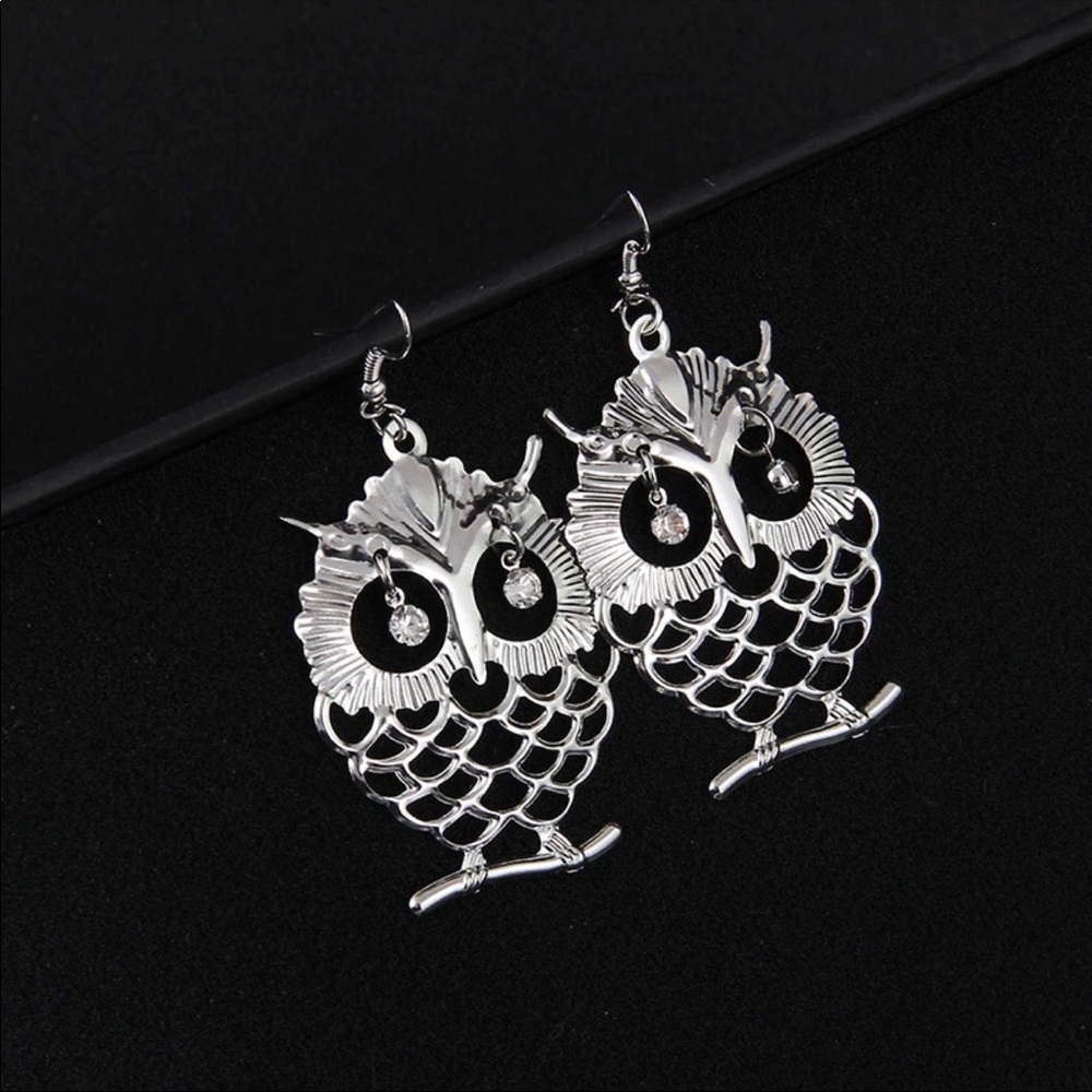 3 for $25 Owls Earrings - Picture 2 of 7